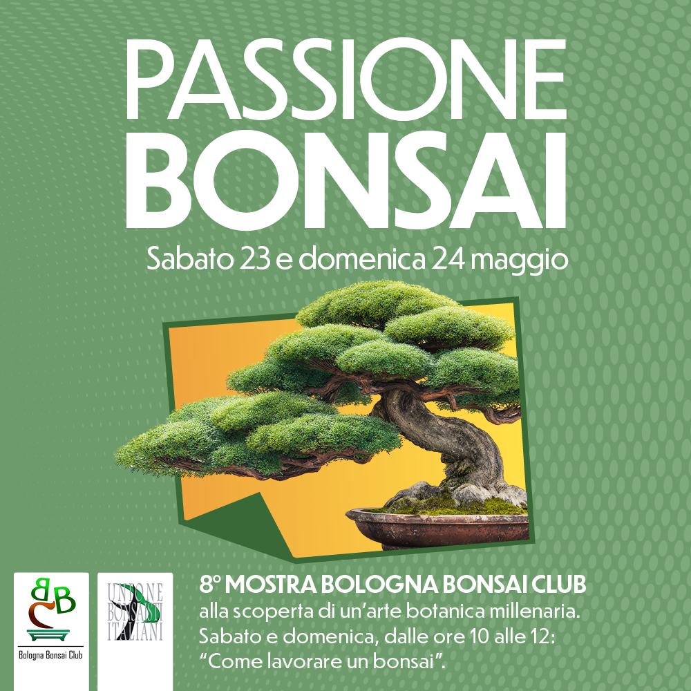 VL_Bonsai_evento_1000x1000