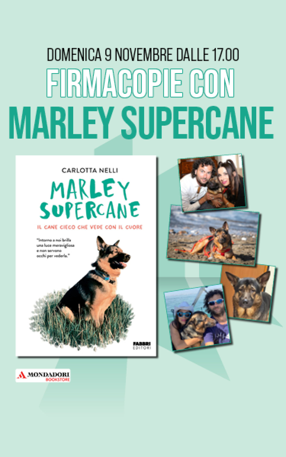 VL_mobile_Supercane